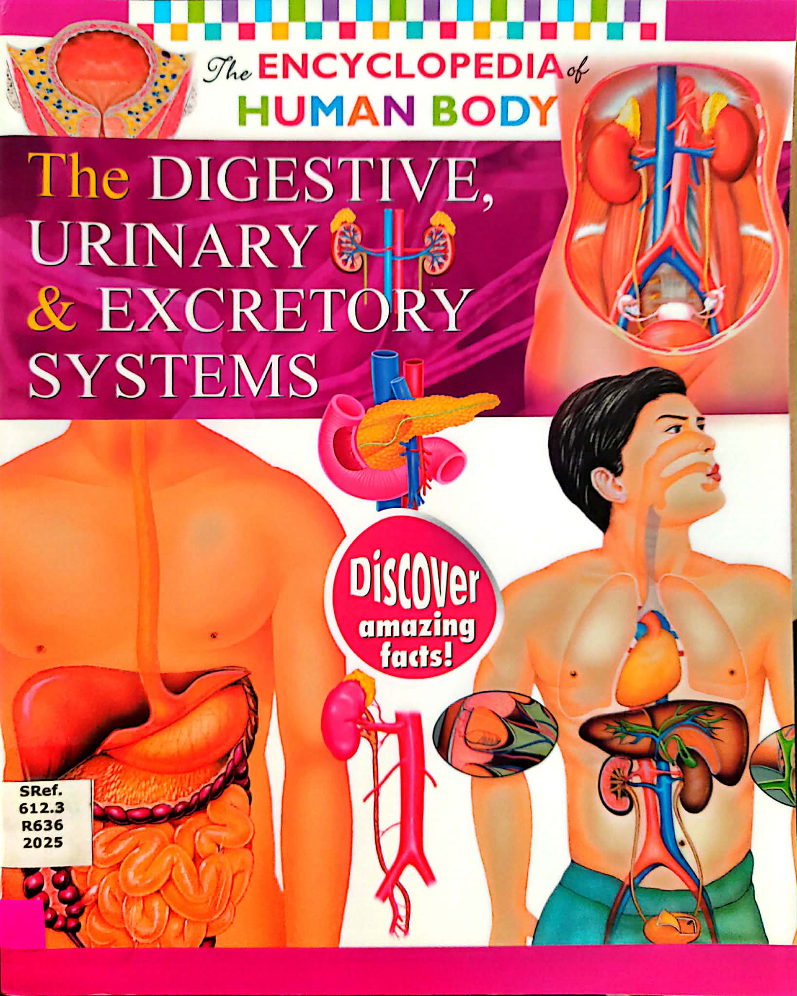 The Encyclopedia of Human Body: The Digestive, Urinary & Excretory Systems
